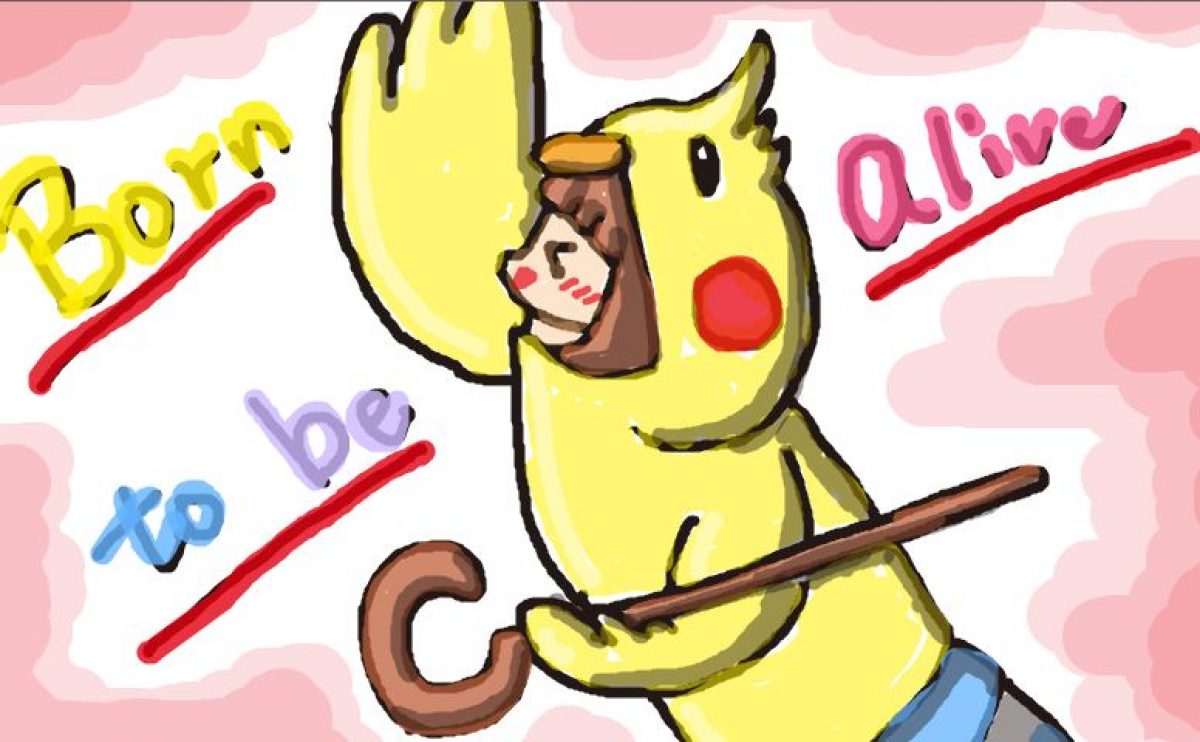 Patrick Hernandez Born To Be Alive テルミナーのこの曲大好き